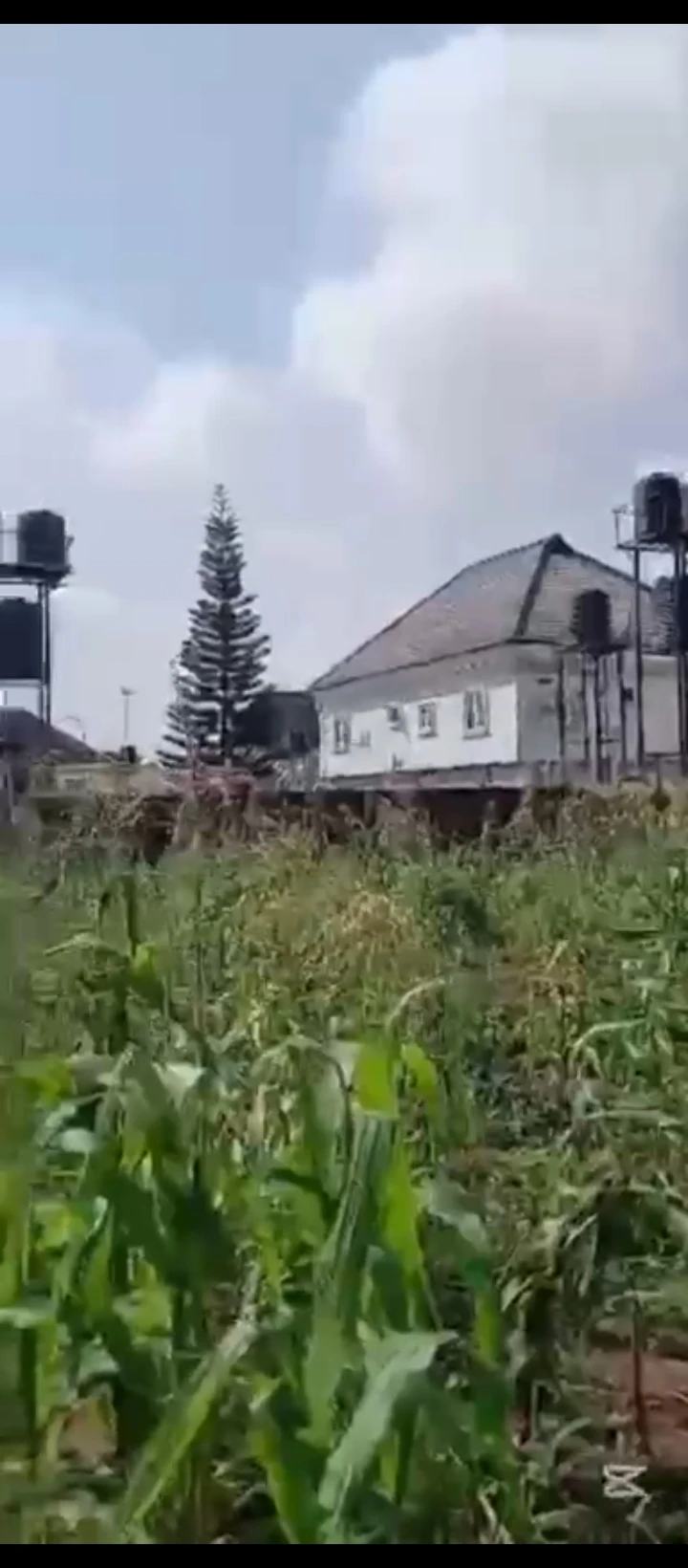 Land for Sale in Mtn Mast road Ugbor, Edo cover picture
