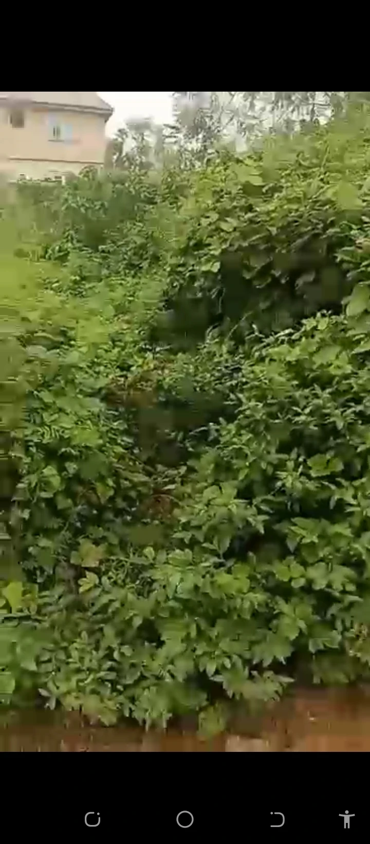 Land for Sale in Amagba GRA, Edo cover picture