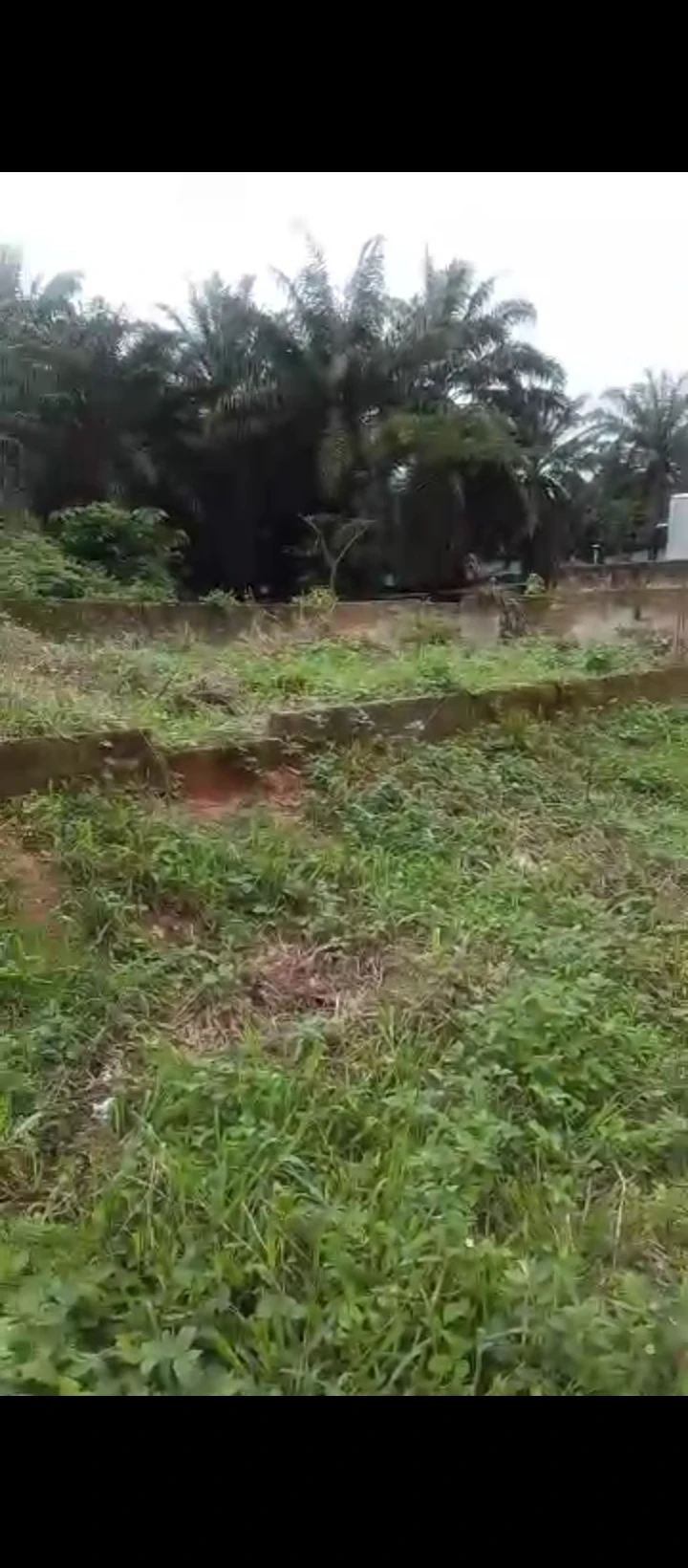 Uncompleted Building for Sale in OGHEGHE OFF SAPELE ROAD, Edo cover picture