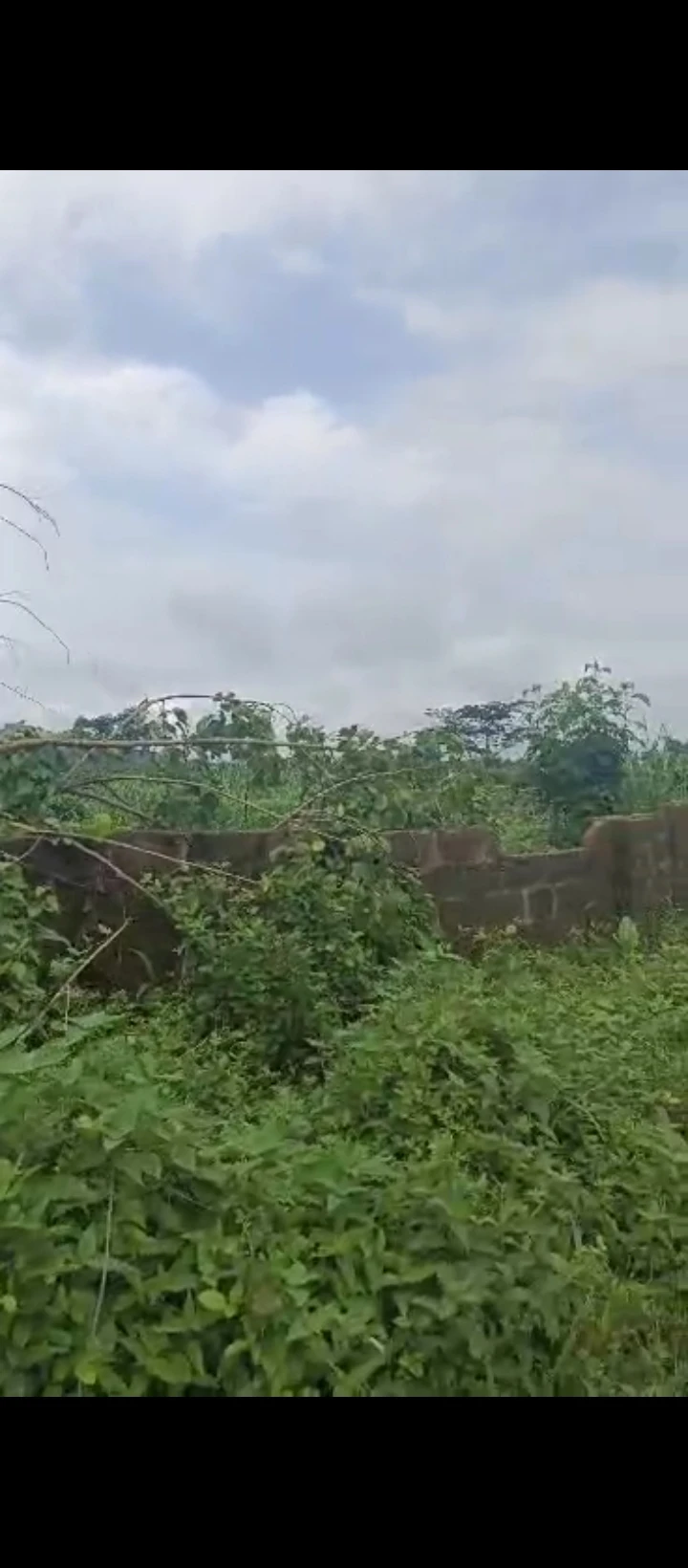 Land for Sale in Okouromi, Edo cover picture