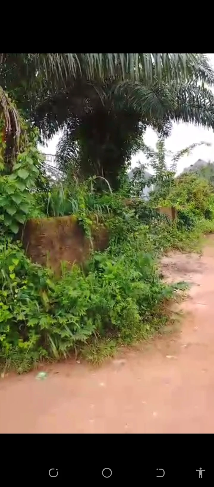 Land for Sale in Ogunmwenyi Ugbor, Edo cover picture