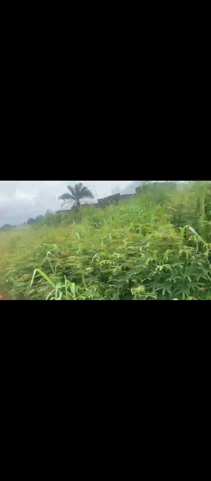 Uncompleted Building for Sale in Obagie nevbosa, Edo cover picture