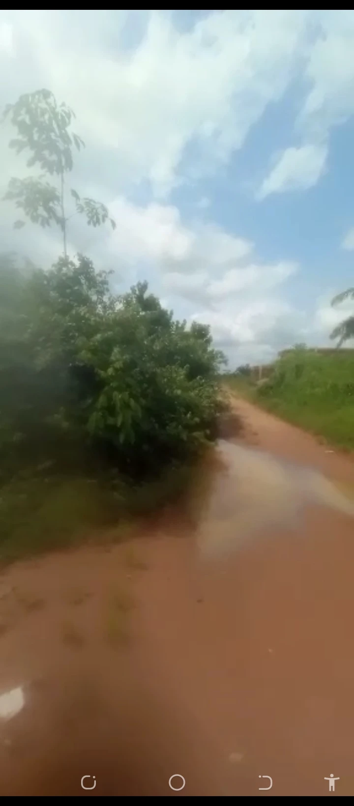 Land for Sale in Benin city, Edo cover picture