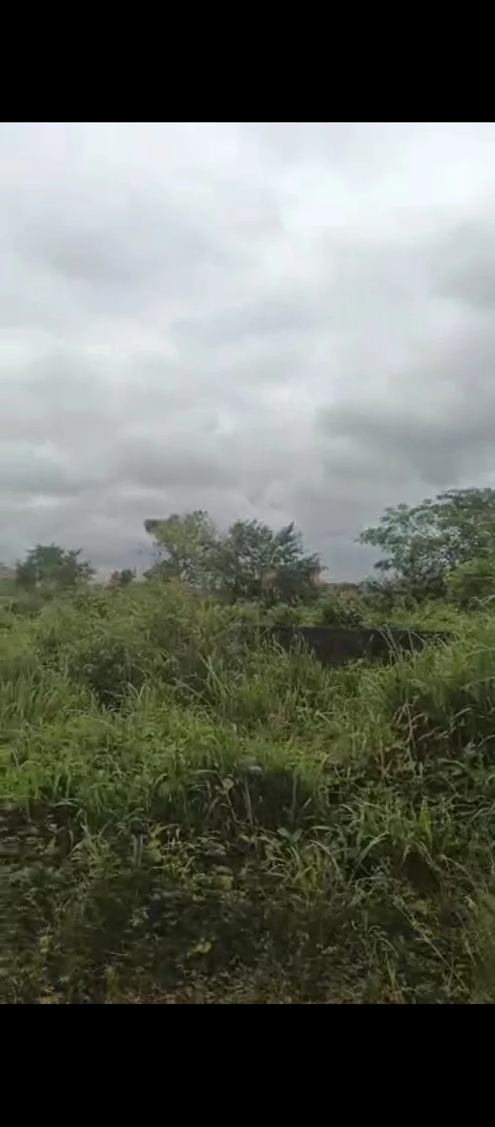 Land for Sale in Obagie  off sapele road, Edo cover picture