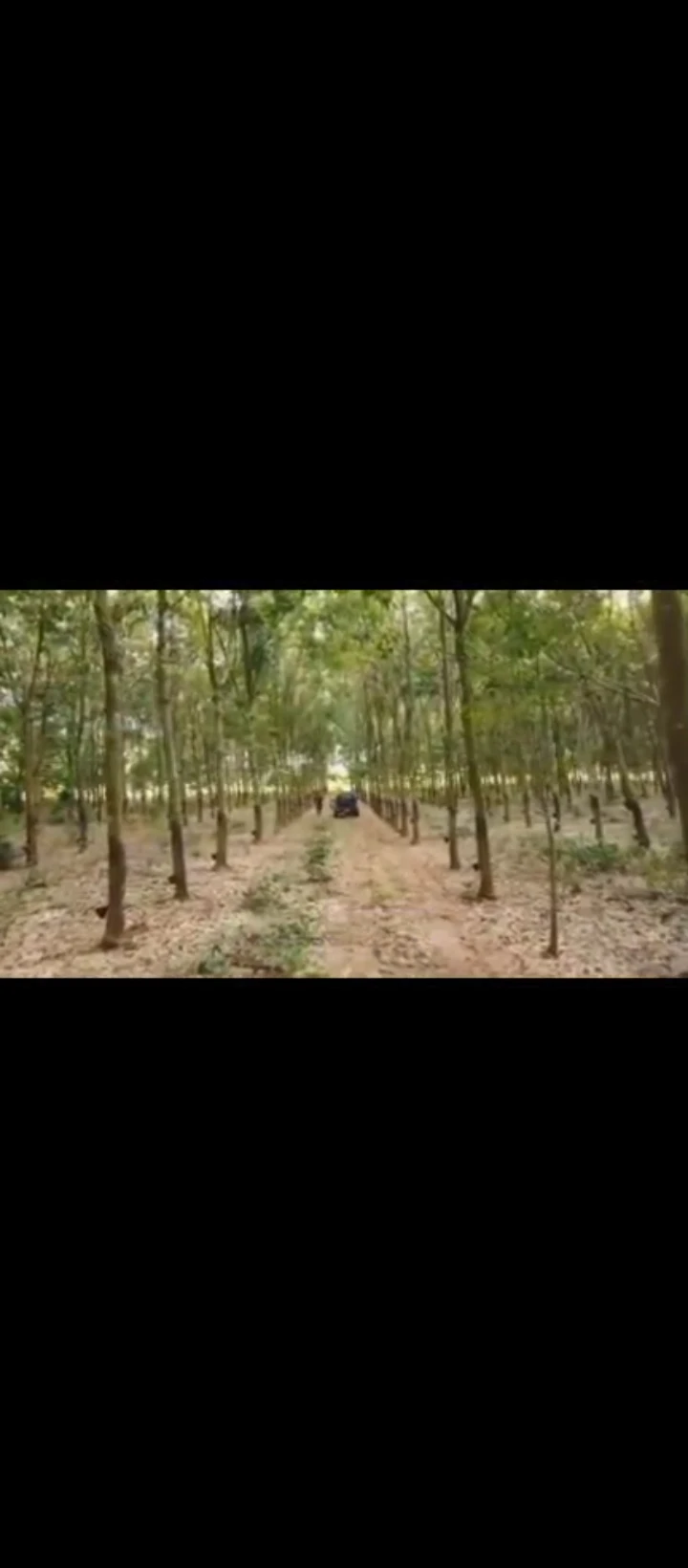 Land for Sale in after Iguoriakhi, Benin City, Edo cover picture