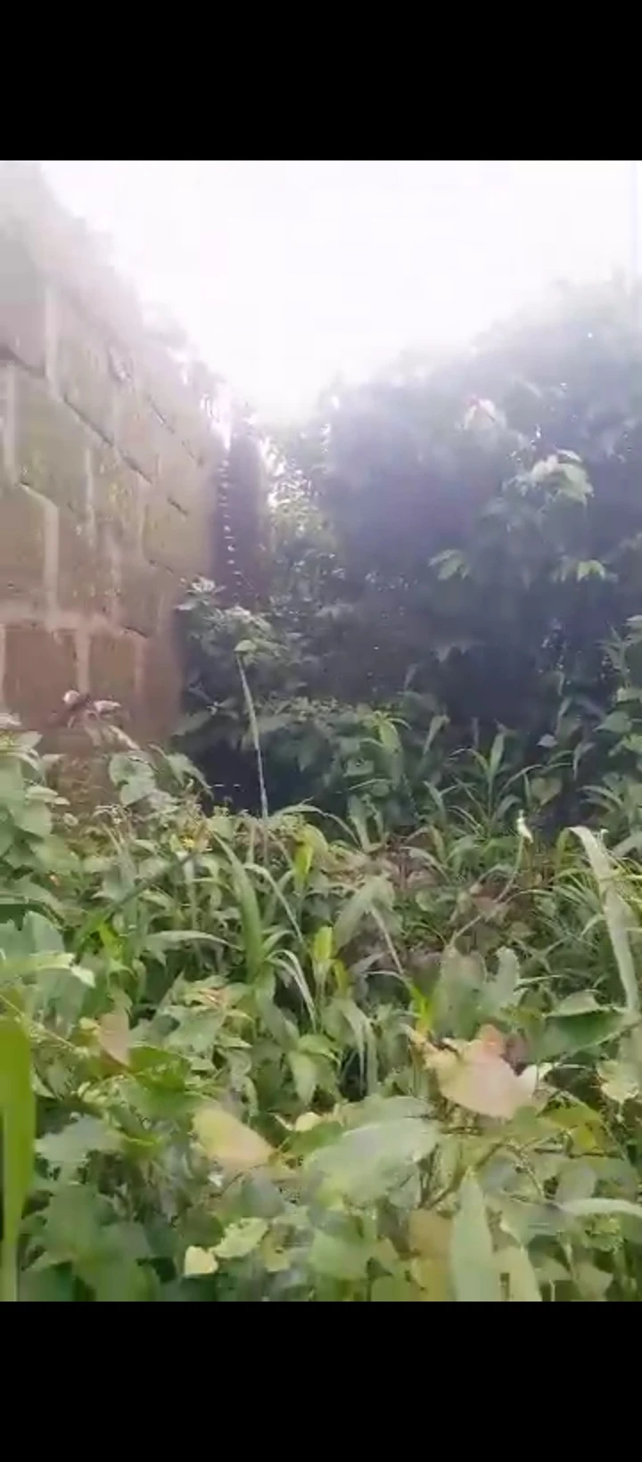 Land for Sale in Amagba GRA, Edo cover picture