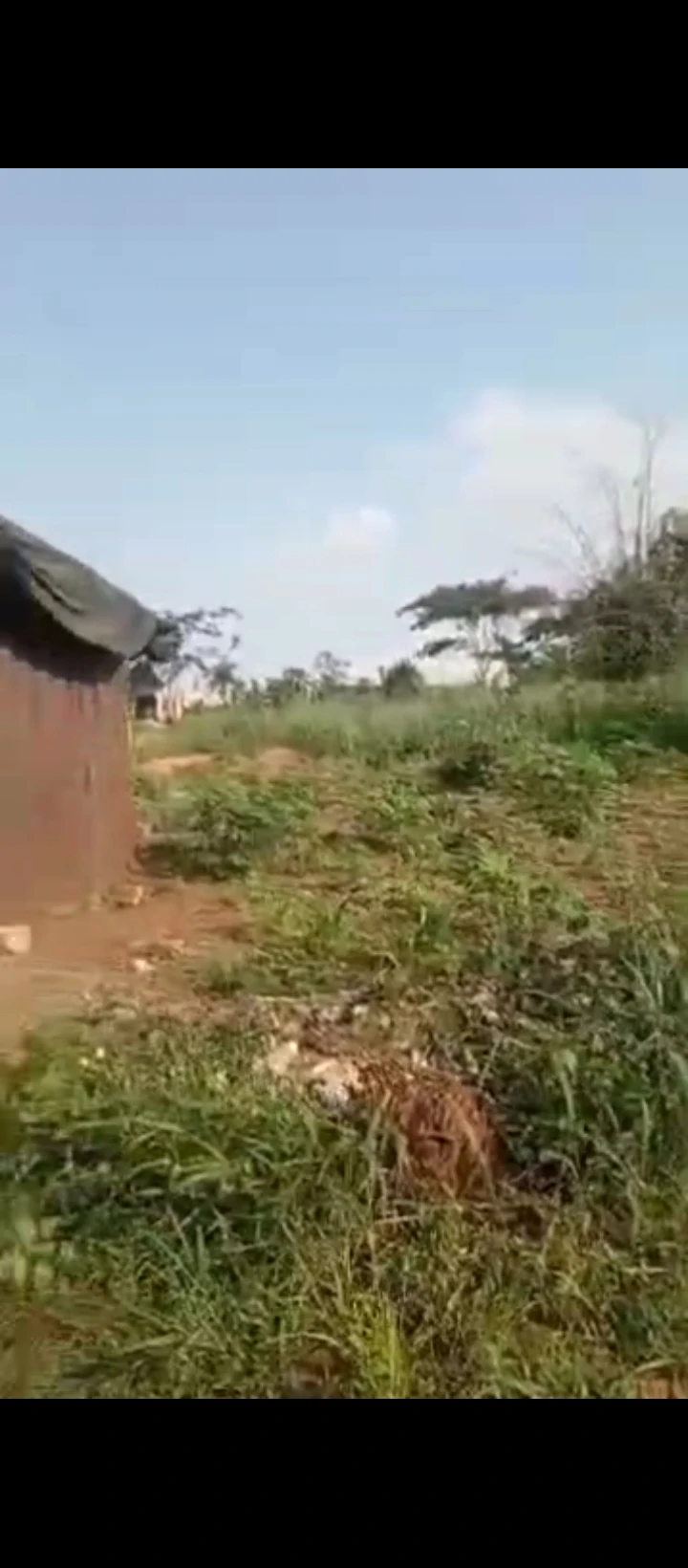 Land for Sale in Uhie off sapele road Benin city, Edo cover picture
