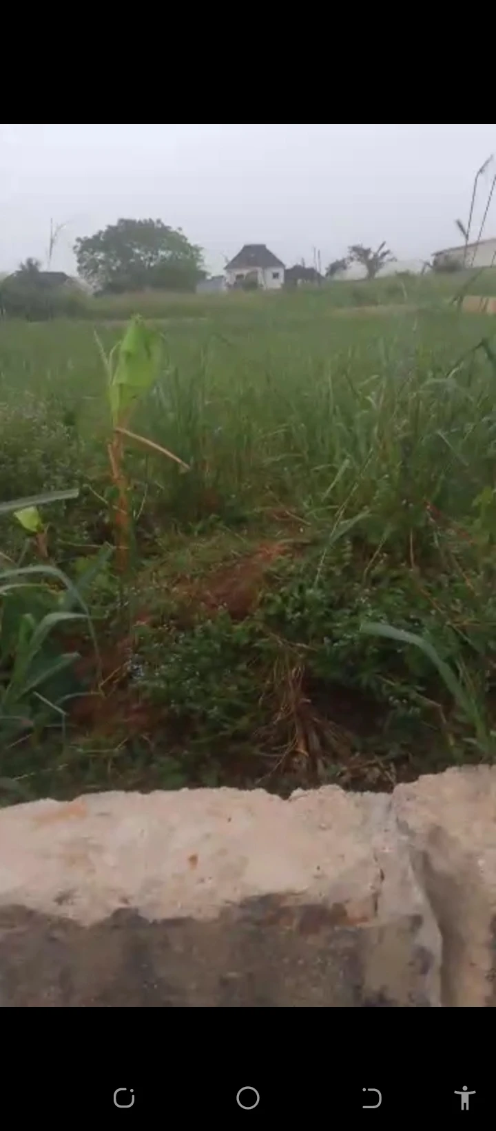 Land for Sale in Amagba GRA, Edo cover picture