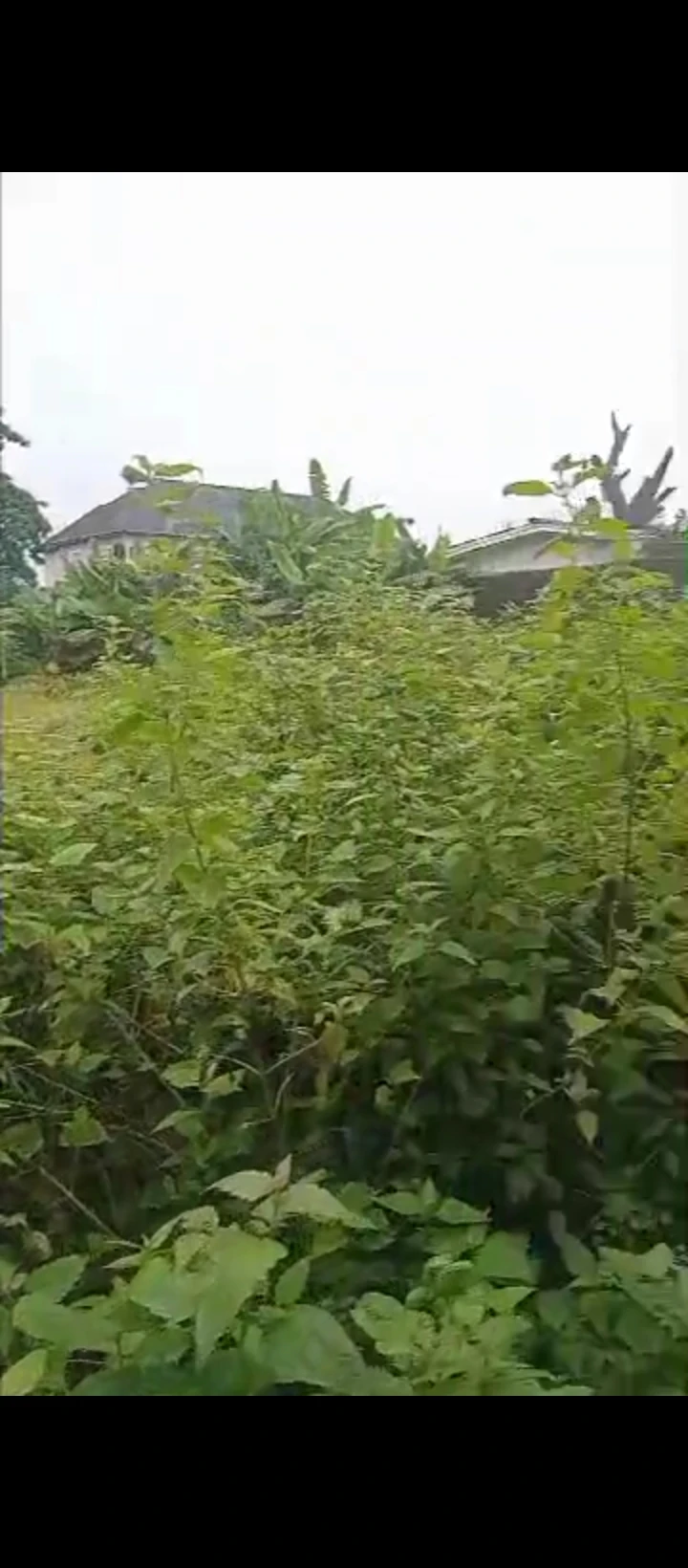 Land for Sale in Akhionbare Road, GRA Benin City, Edo cover picture
