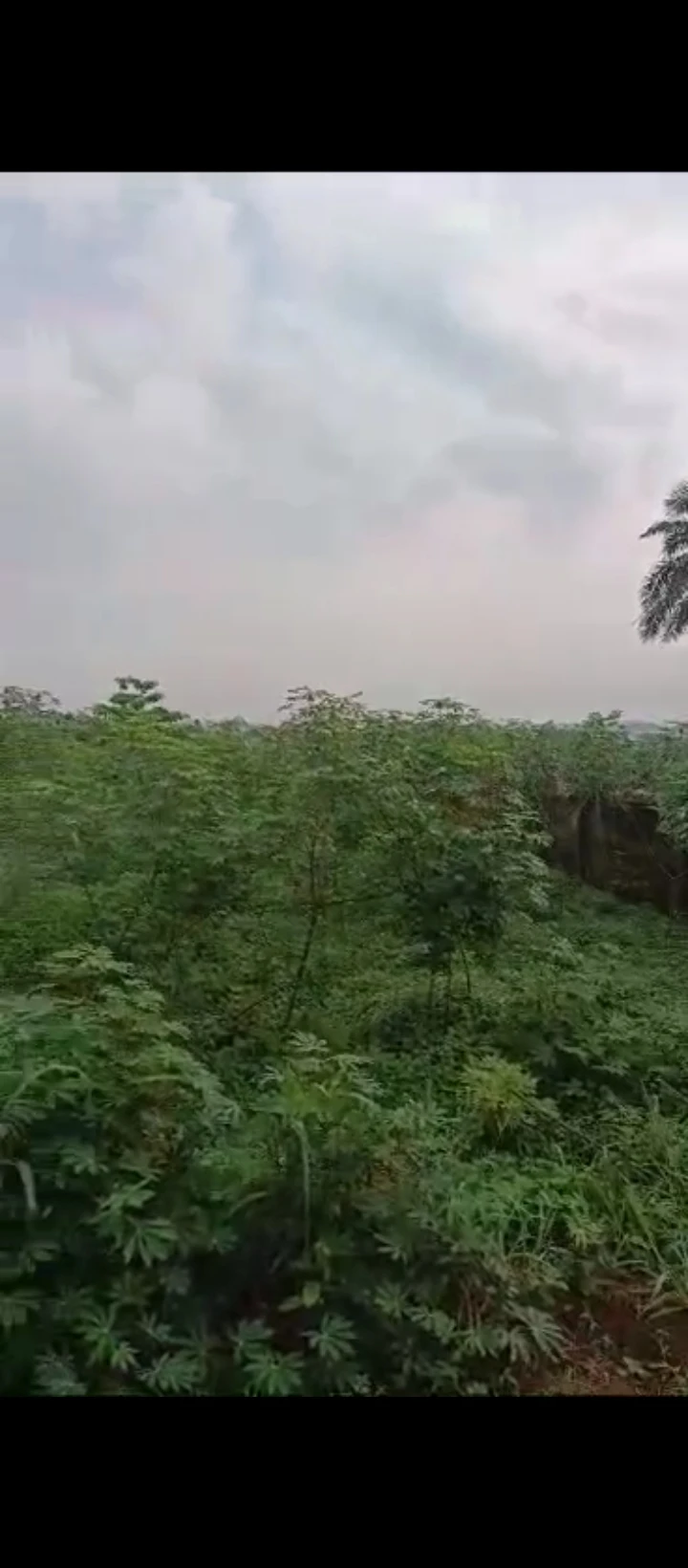 Land for Sale in Off airport road, Edo cover picture