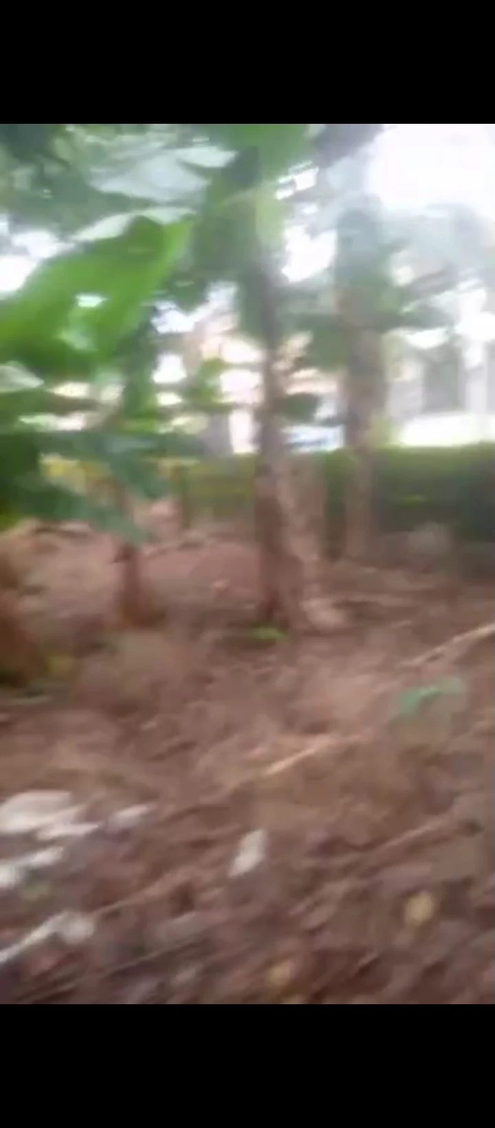 Land for Sale in Ugbor by mtn mast, Edo cover picture