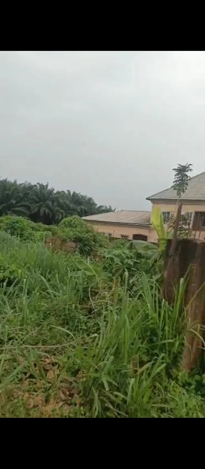 Land for Sale in The subject property situate at RESOURCES GATE SCHOOL ROAD CLOSE TO BUVEL FILLING STATION, ARUOGBA COMMUNITY OFF AIRPORT ROAD, Edo cover picture