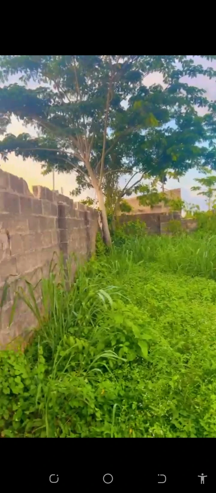 Land for Sale in Country home road, Edo cover picture