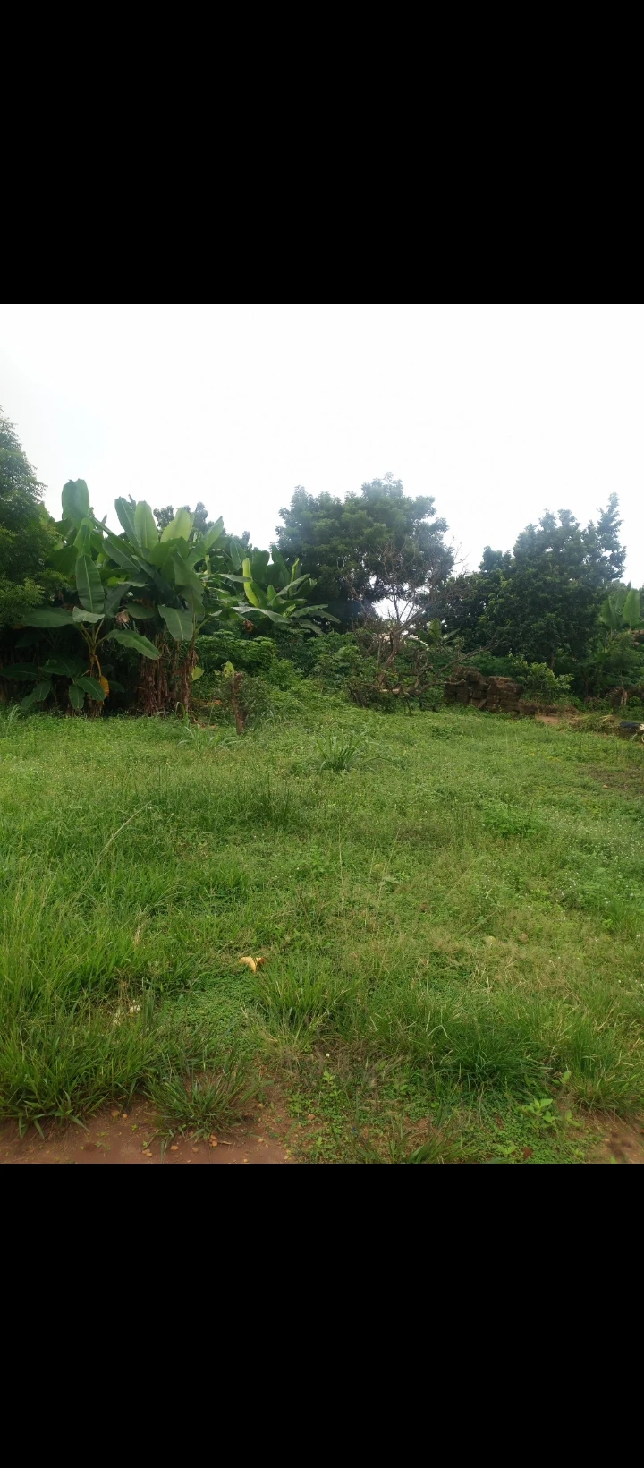 Land for Sale in Amagba GRA, Edo cover picture