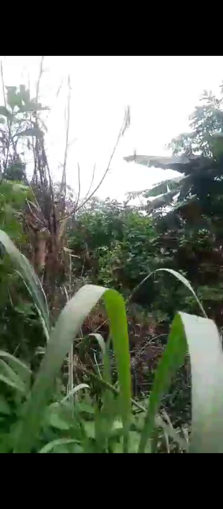 Land for Sale in IYEKOGBA IRIRI RD AIRPORT RD BENIN, Edo cover picture