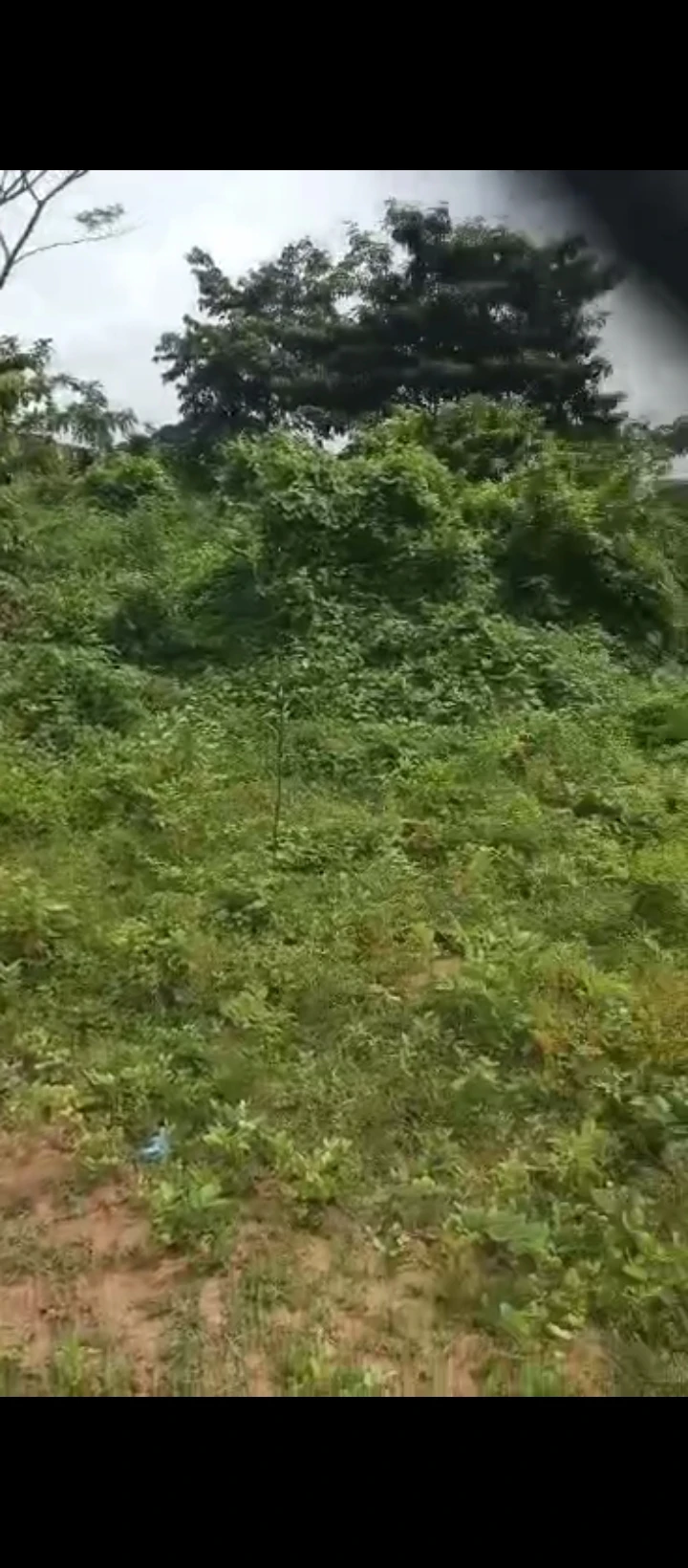 Land for Sale in Off Ohen Road Okhoromi off airport road Benin city., Edo