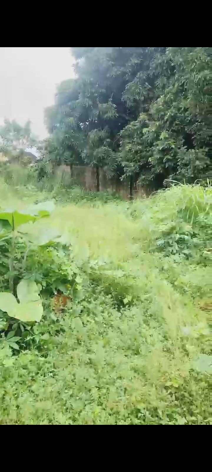 Land for Sale in NTA ROAD, Rivers - Image 1