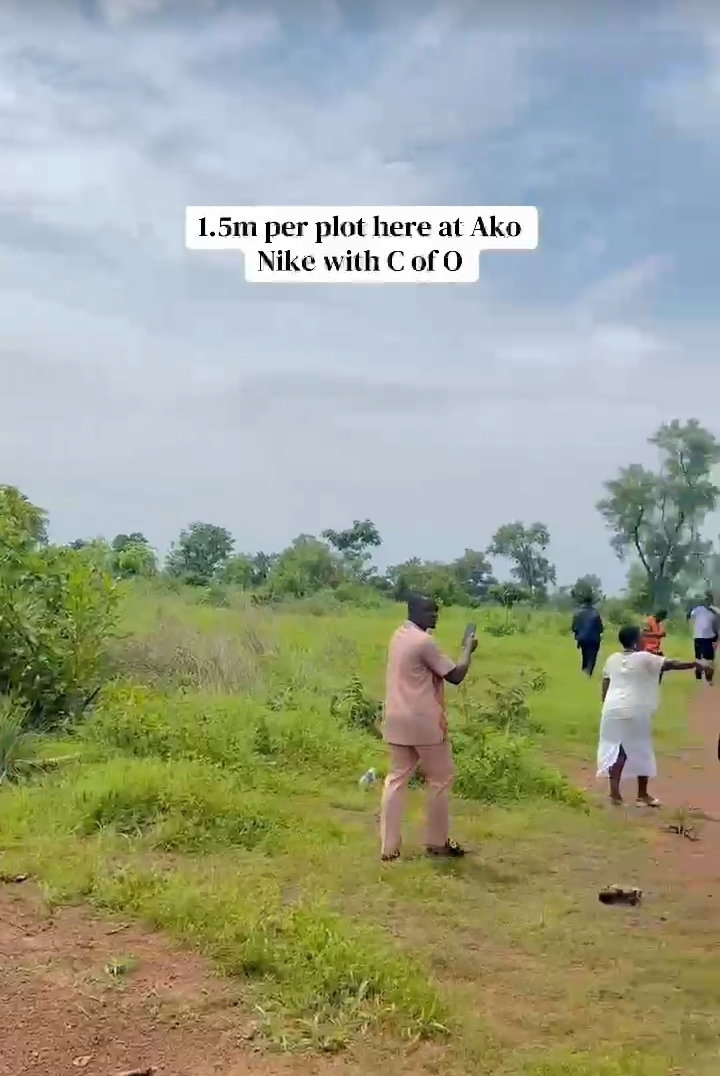 Land for Sale in AKO NIKE, Enugu - Image 3