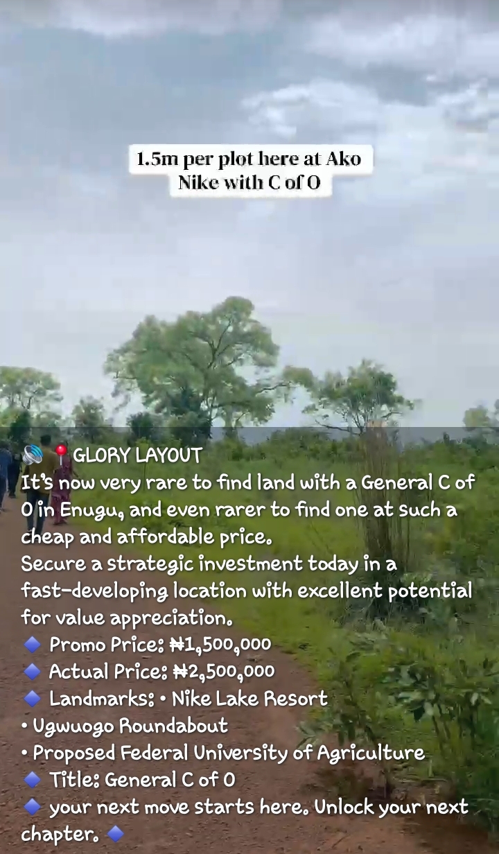 Land for Sale in AKO NIKE, Enugu - Image 4