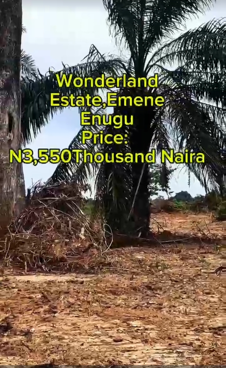Land for Sale in EMENE, Enugu - Image 1