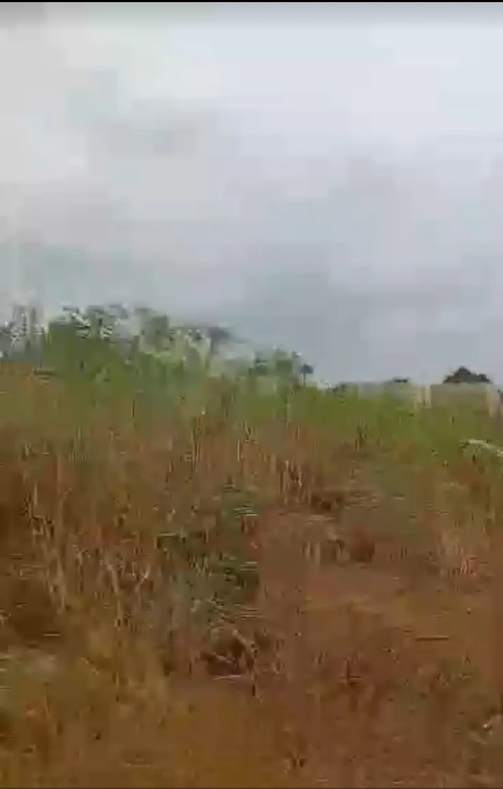 Land for Sale in IBUSA ROAD, Delta - Image 1