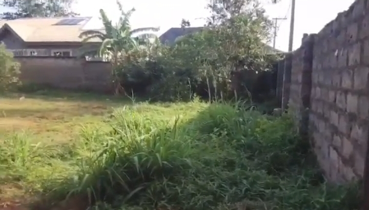 Land for Sale in Okpanam Road, Delta - Image 1