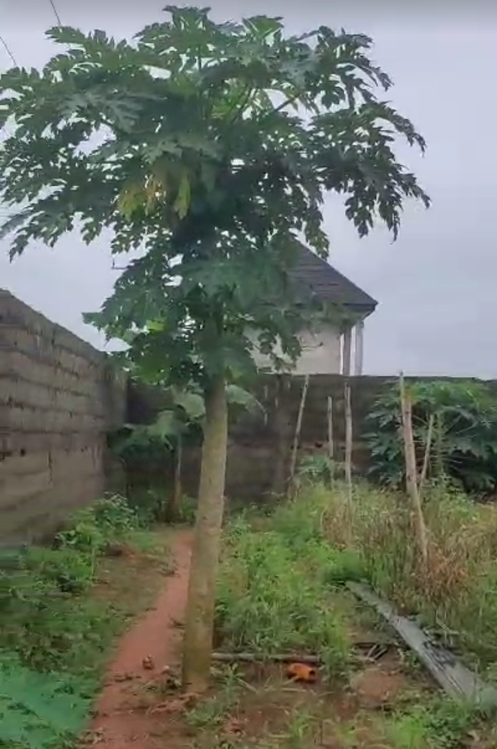 Land for Sale in Benin/Asaba, Delta - Image 1