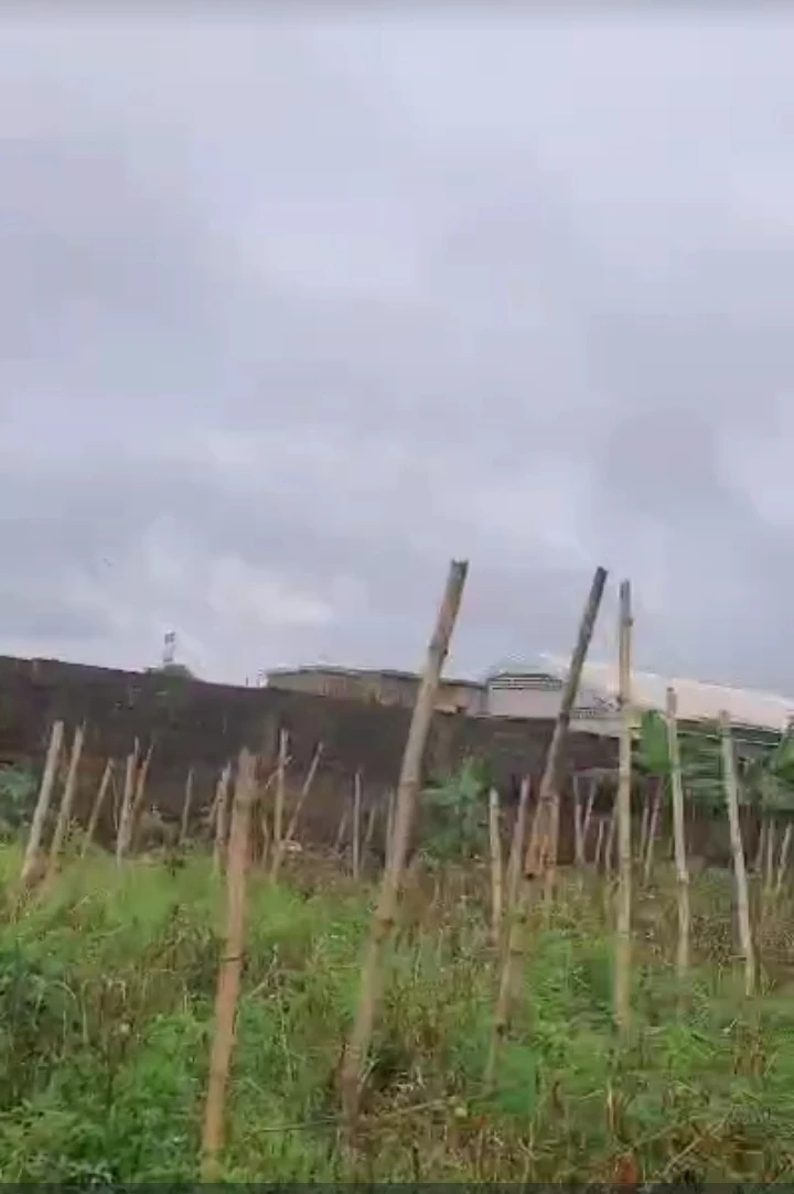 Land for Sale in Ibusa, Delta - Image 2
