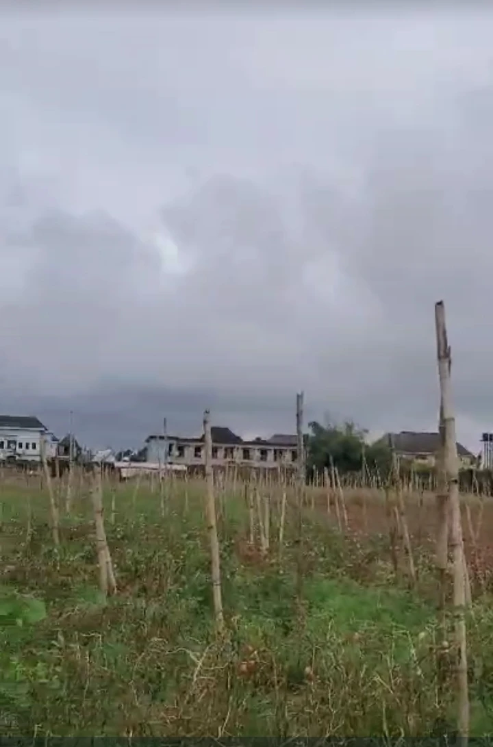 Land for Sale in Ibusa, Delta - Image 1