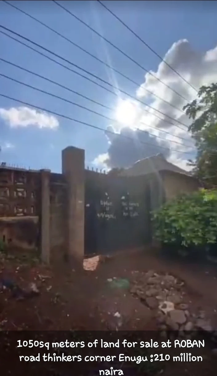 Land for Sale in THINKERS CORNER, Enugu - Image 3