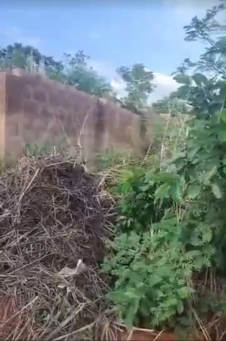 Land for Sale in Legacy Estate, Enugu - Image 1