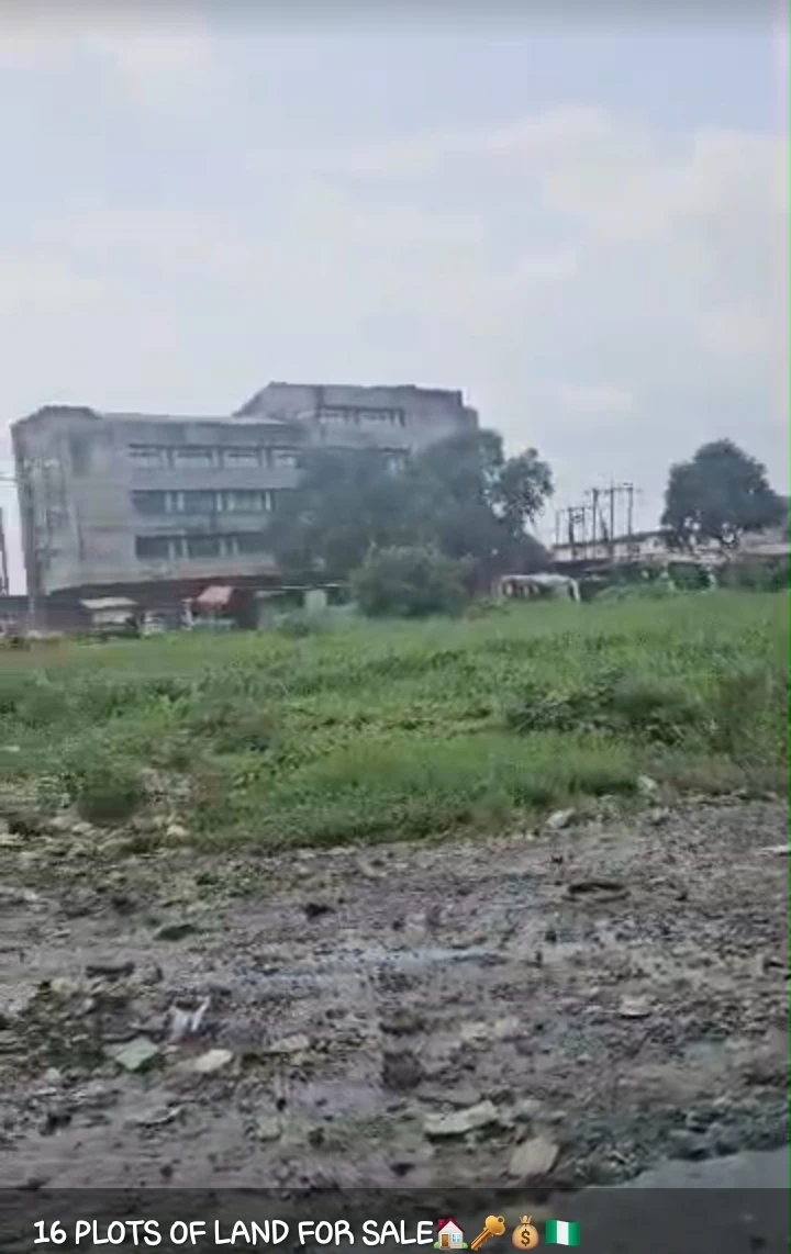 Land for Sale in Eleme Junction, Rivers - Image 2