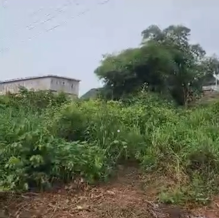 Land for Sale in Okpanam Road, Delta - Image 2