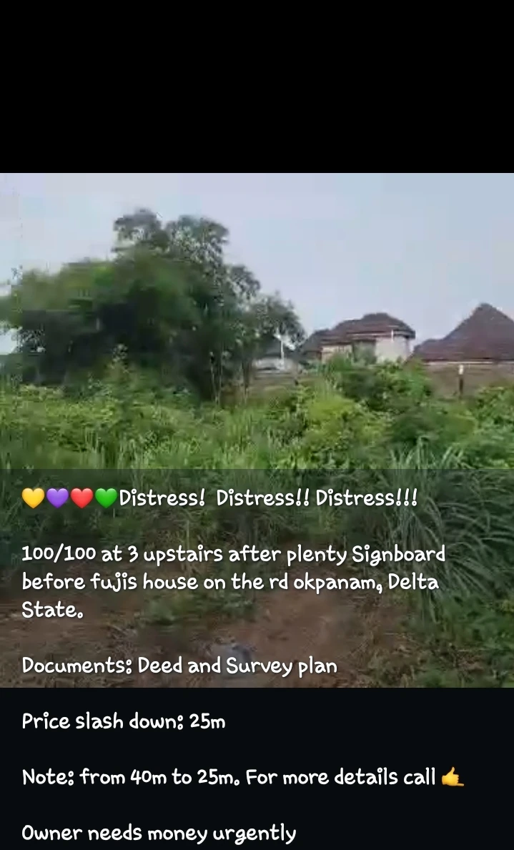 Land for Sale in Okpanam Road, Delta - Image 1