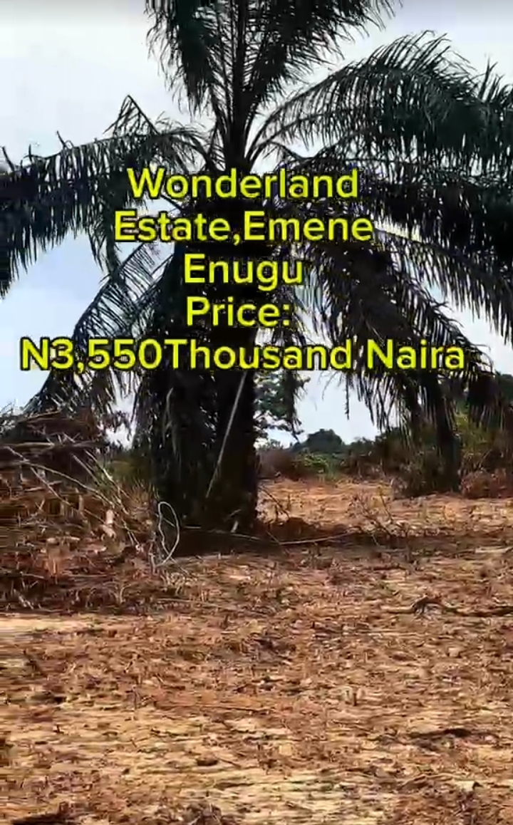 Land for Sale in EMENE, Enugu - Image 1