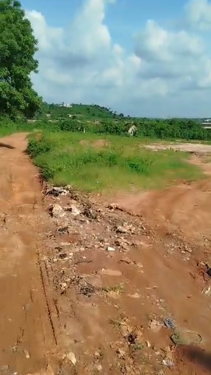Land for Sale in OKEMOSAN, Ogun - Image 2