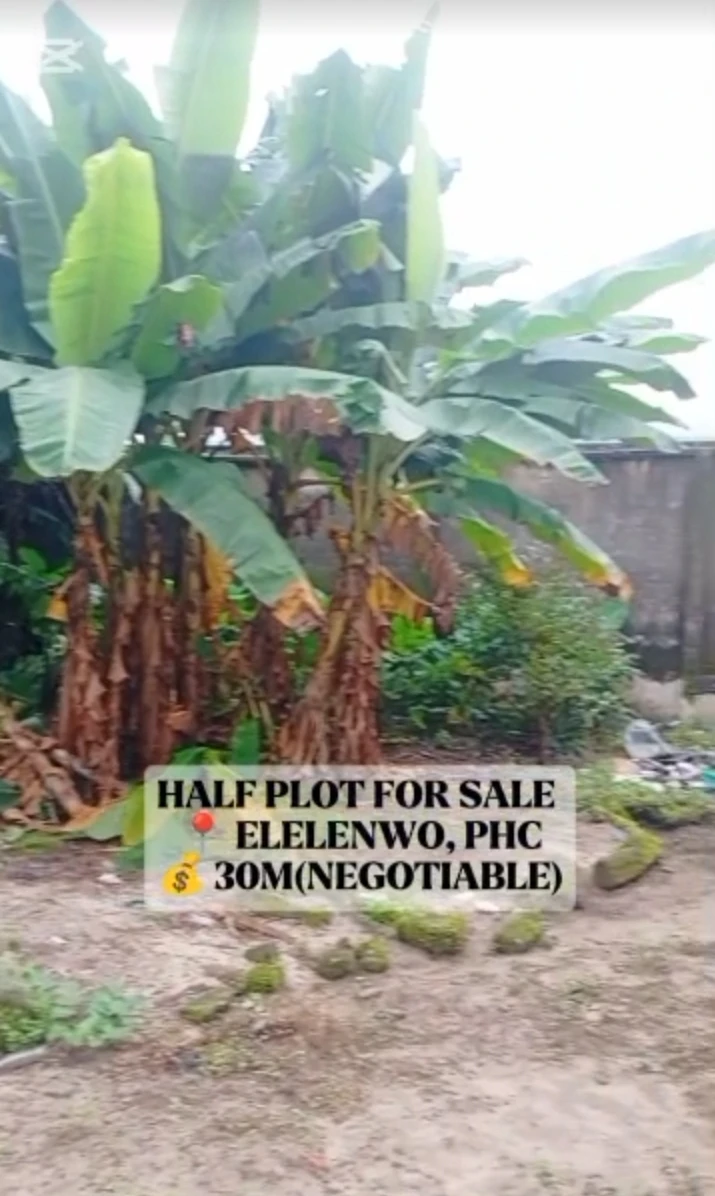 Land for Sale in ELELENWO, Rivers - Image 1