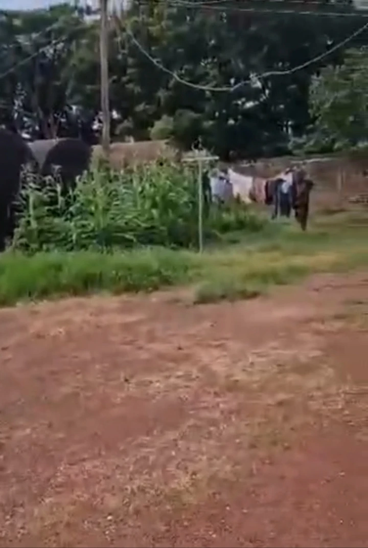 Land for Sale in OLD GRA, Enugu - Image 2