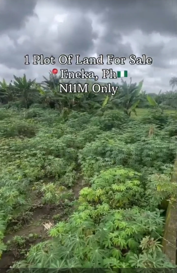 Land for Sale in ENEKA, Rivers - Image 1