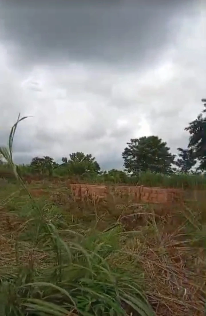 Land for Sale in TRANS-EKULU, Enugu - Image 1