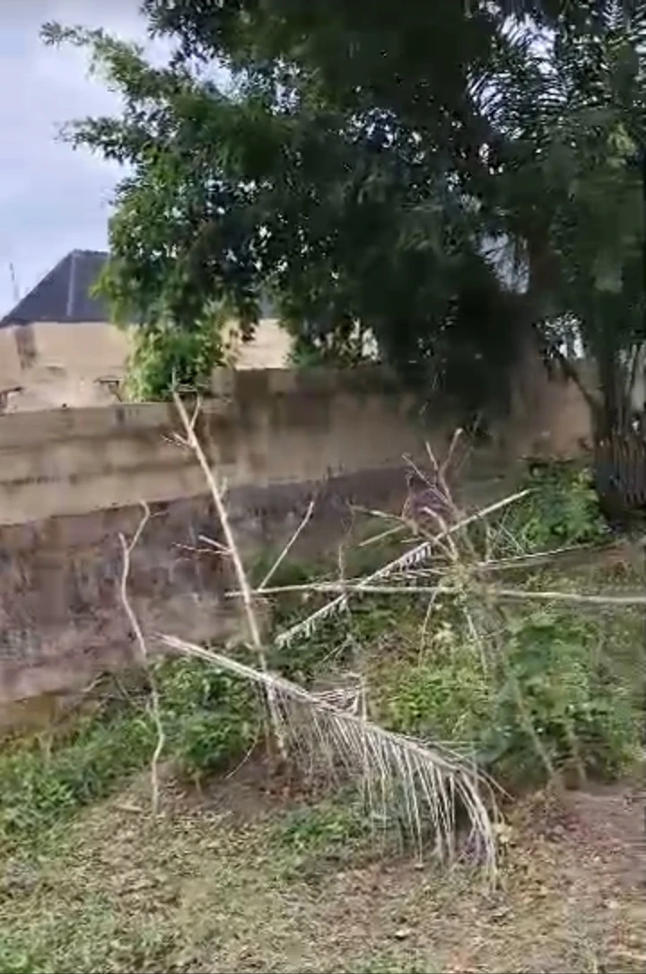 Land for Sale in TRANSELODRONE, Enugu - Image 3