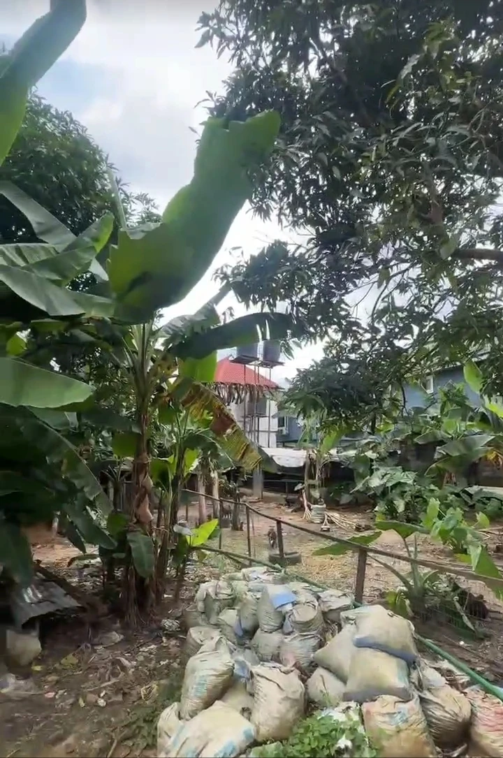 Land for Sale in RUKPUKWULUSI, Rivers - Image 2