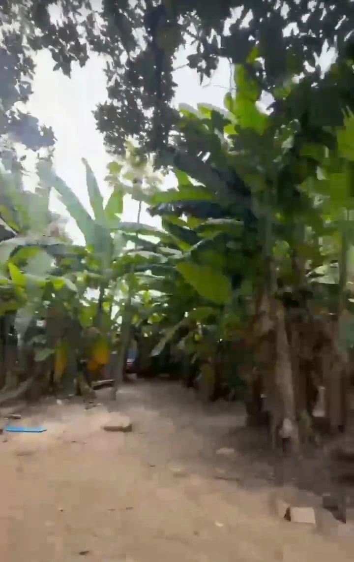 Land for Sale in Eagle Island, Rivers - Image 1