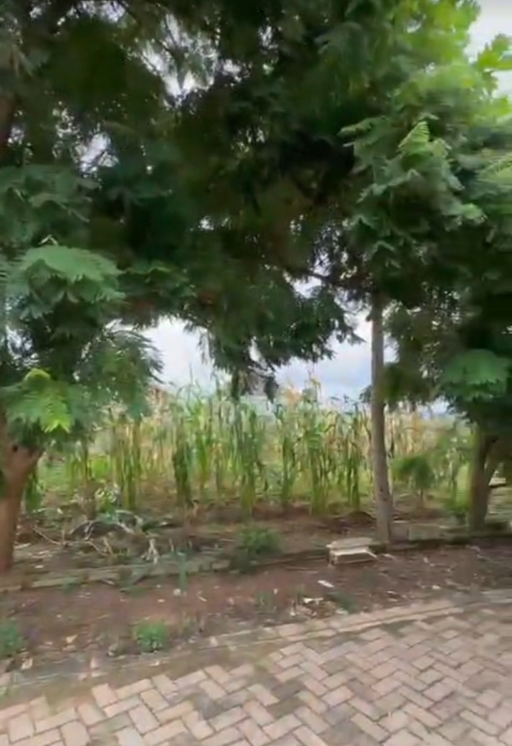 Land for Sale in CENTENARY CITY, Enugu - Image 2