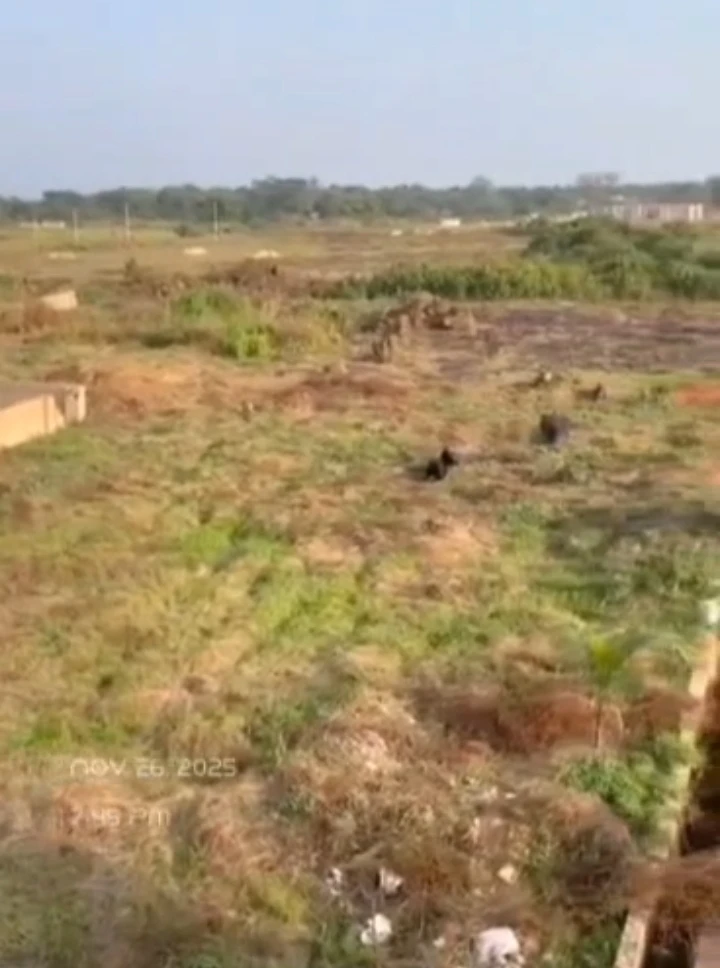 Land for Sale in AMEACHI, Enugu - Image 6