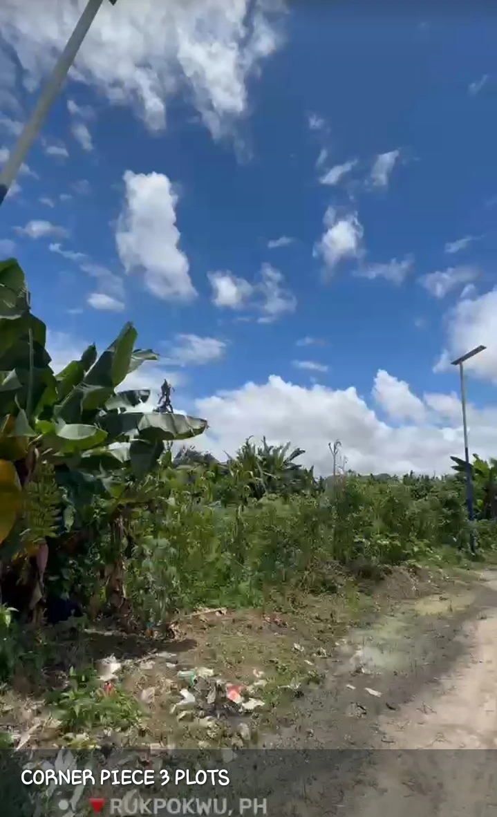 Land for Sale in RUKPOKWU, Rivers - Image 2