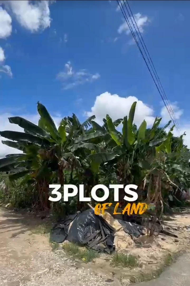 Land for Sale in RUKPOKWU, Rivers - Image 3