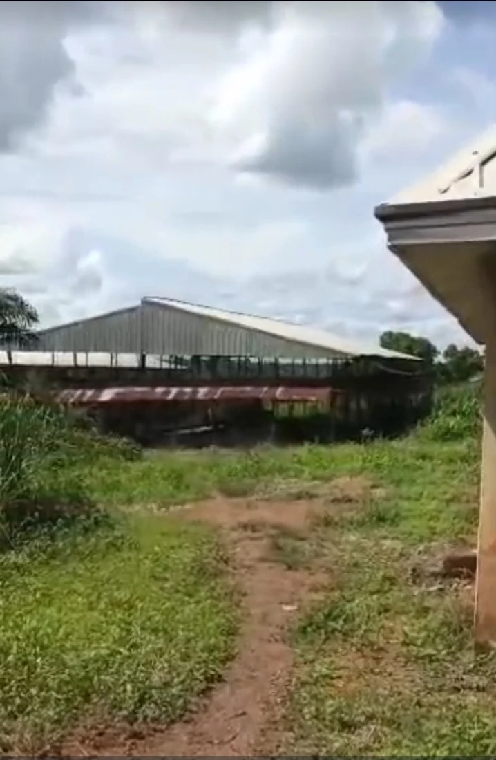Land for Sale in EMENE, Enugu - Image 1