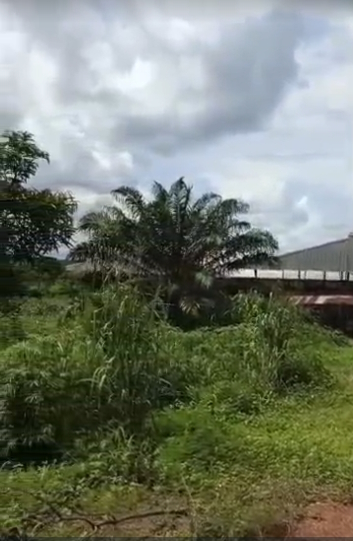 Land for Sale in EMENE, Enugu - Image 2