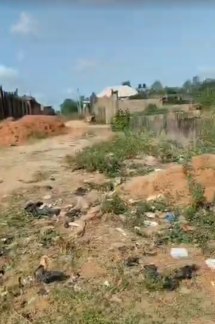 Land for Sale in EMENE, Enugu - Image 2